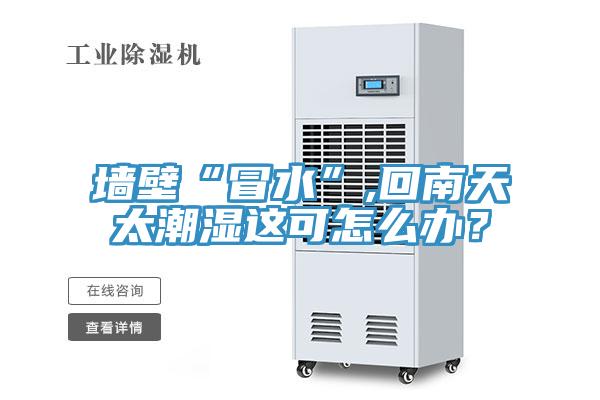 墻壁“冒水”,回南天太潮濕這可怎么辦？