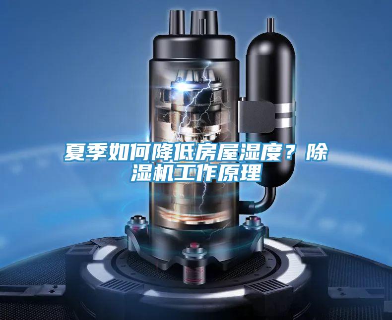 夏季如何降低房屋濕度？除濕機工作原理
