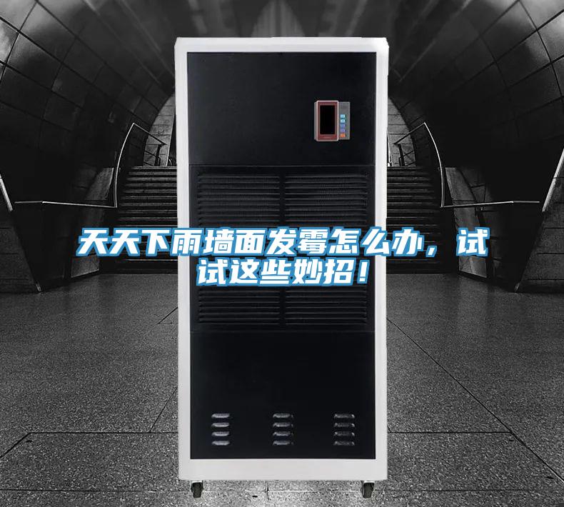 天天下雨墻面發(fā)霉怎么辦，試試這些妙招！