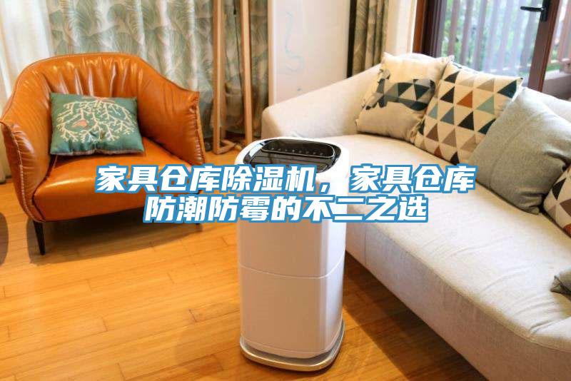 家具倉(cāng)庫(kù)除濕機(jī)，家具倉(cāng)庫(kù)防潮防霉的不二之選