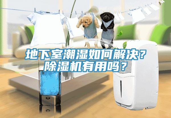 地下室潮濕如何解決？除濕機(jī)有用嗎？