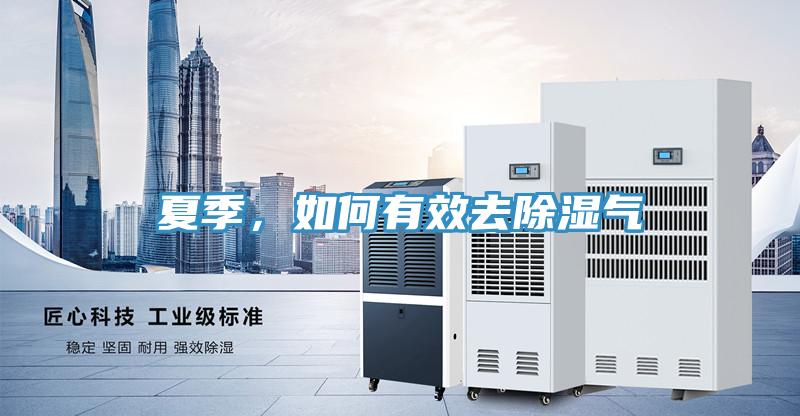 夏季，如何有效去除濕氣