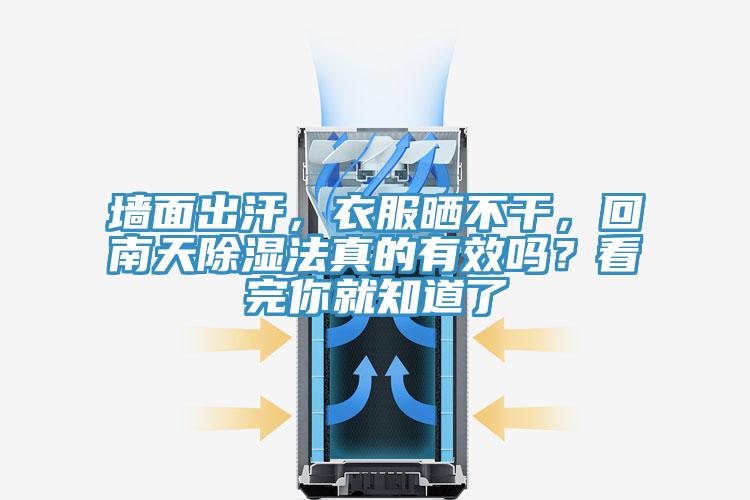 墻面出汗，衣服曬不干，回南天除濕法真的有效嗎？看完你就知道了