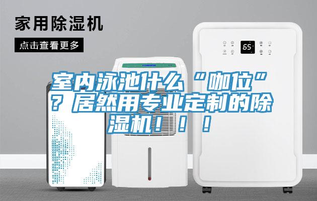 室內(nèi)泳池什么“咖位”？居然用專業(yè)定制的除濕機(jī)?。?！