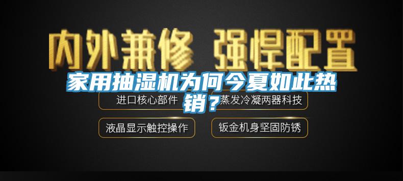 家用抽濕機為何今夏如此熱銷？
