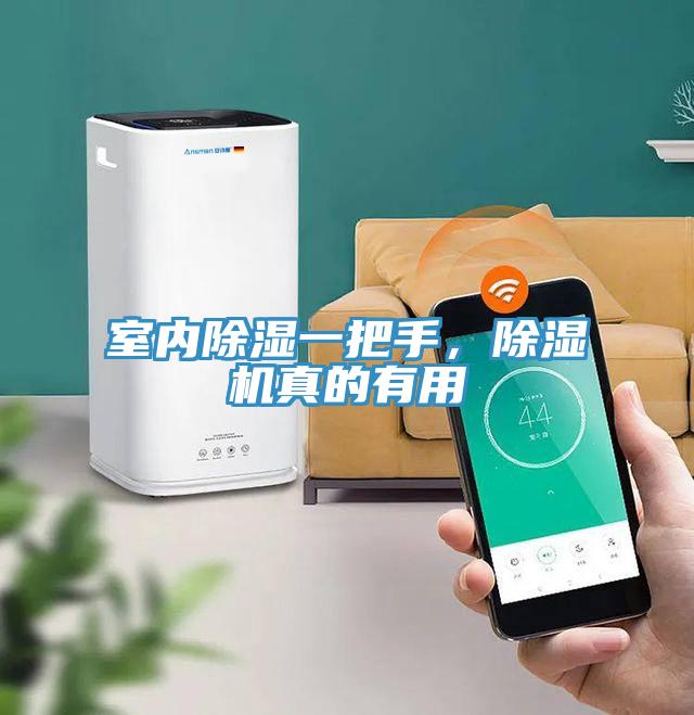 室內(nèi)除濕一把手，除濕機真的有用