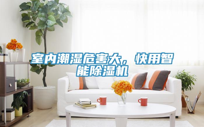 室內(nèi)潮濕危害大，快用智能除濕機