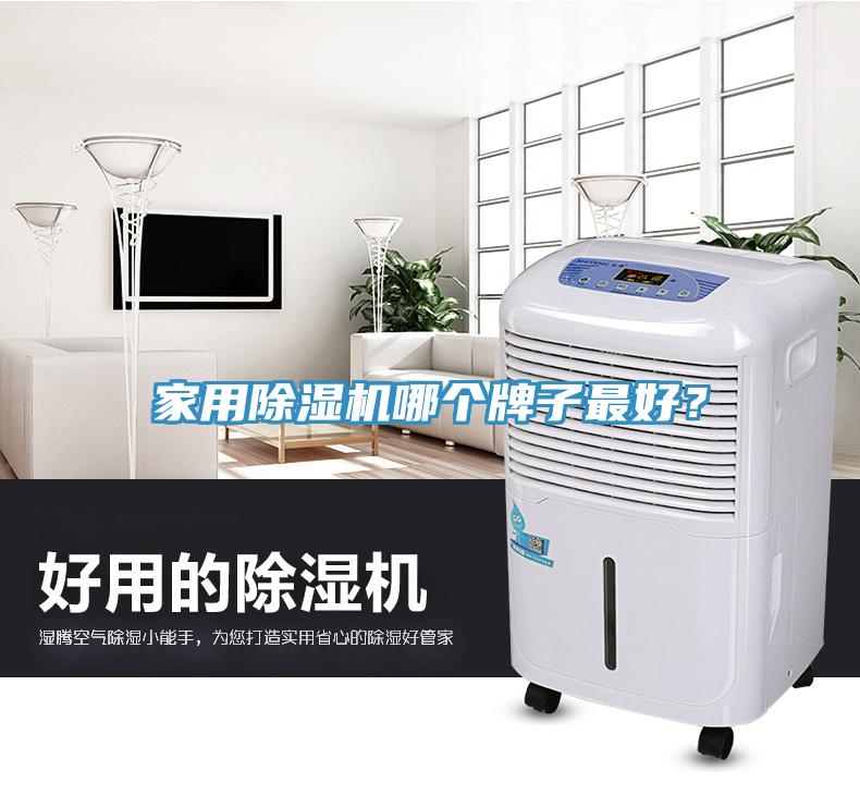 家用除濕機哪個牌子最好？