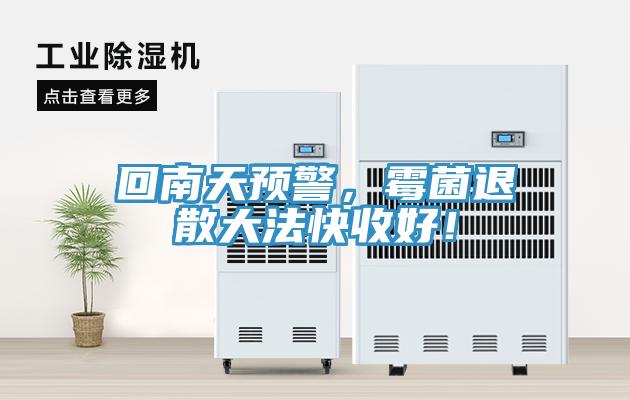 回南天預警，霉菌退散大法快收好！