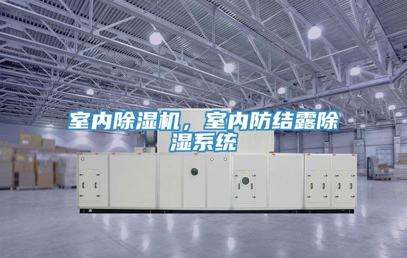 室內(nèi)除濕機，室內(nèi)防結露除濕系統(tǒng)