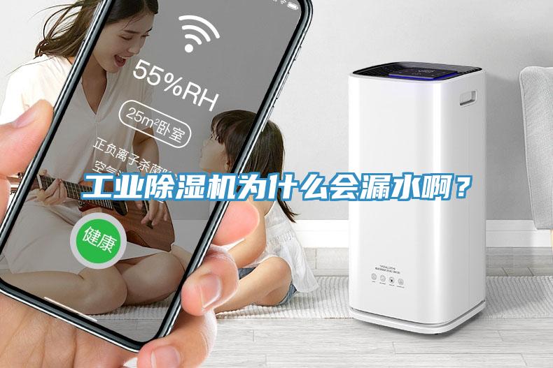 工業(yè)除濕機為什么會漏水啊？