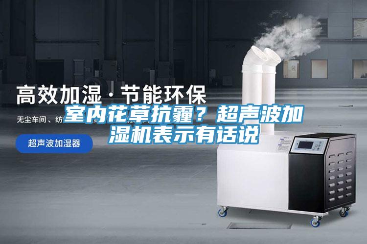 室內(nèi)花草抗霾？超聲波加濕機表示有話說