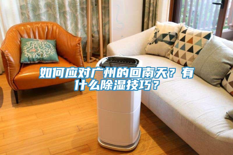 如何應(yīng)對廣州的回南天？有什么除濕技巧？