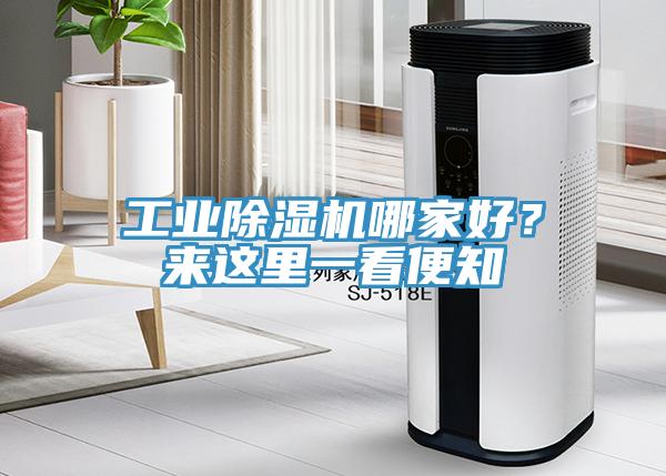工業(yè)除濕機哪家好？來這里一看便知