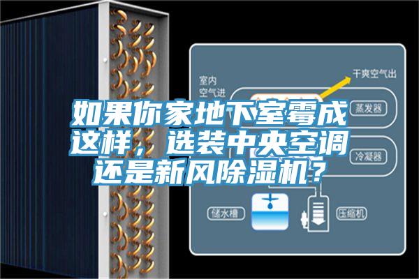 如果你家地下室霉成這樣，選裝中央空調(diào)還是新風除濕機？