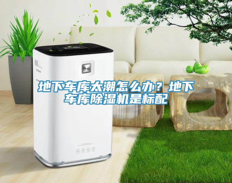 地下車庫太潮怎么辦？地下車庫除濕機是標配