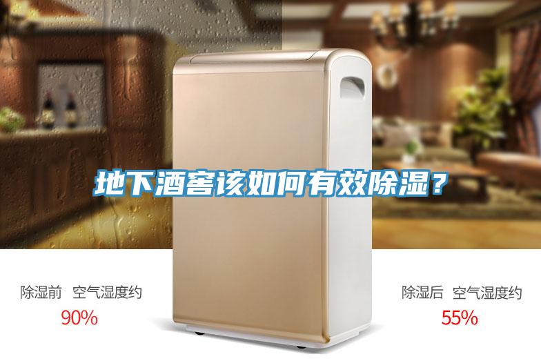 地下酒窖該如何有效除濕？