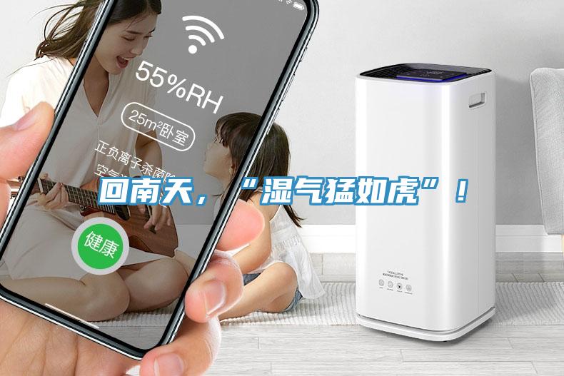 回南天，“濕氣猛如虎”！