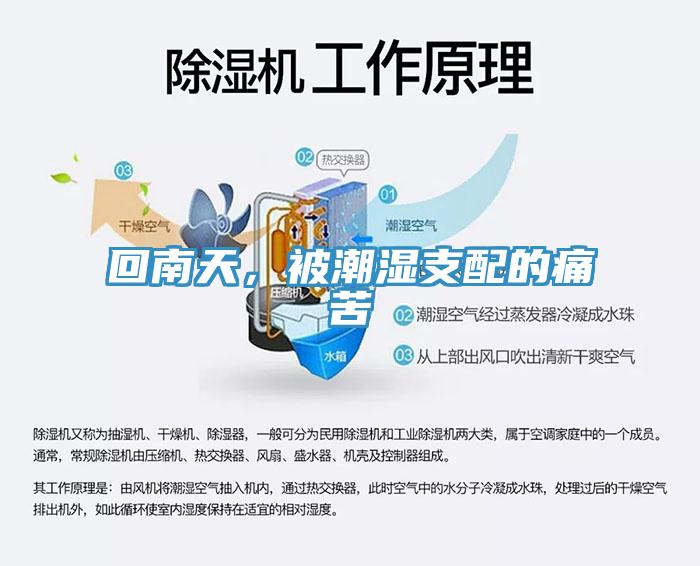 回南天，被潮濕支配的痛苦