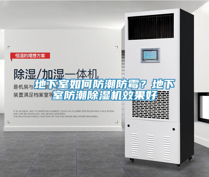 地下室如何防潮防霉？地下室防潮除濕機(jī)效果好