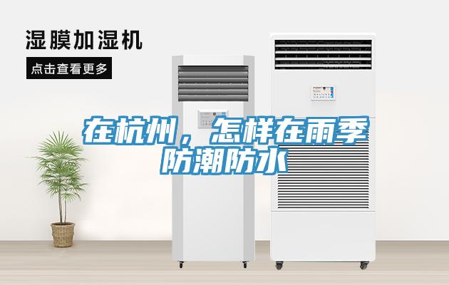 在杭州，怎樣在雨季防潮防水