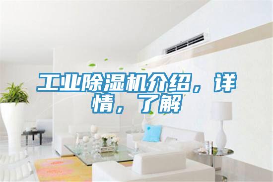 工業(yè)除濕機(jī)介紹，詳情，了解