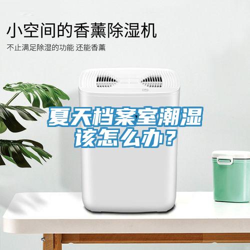 夏天檔案室潮濕該怎么辦？