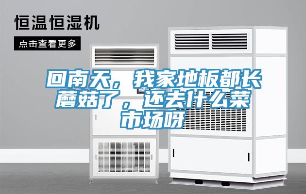 回南天，我家地板都長蘑菇了，還去什么菜市場(chǎng)呀