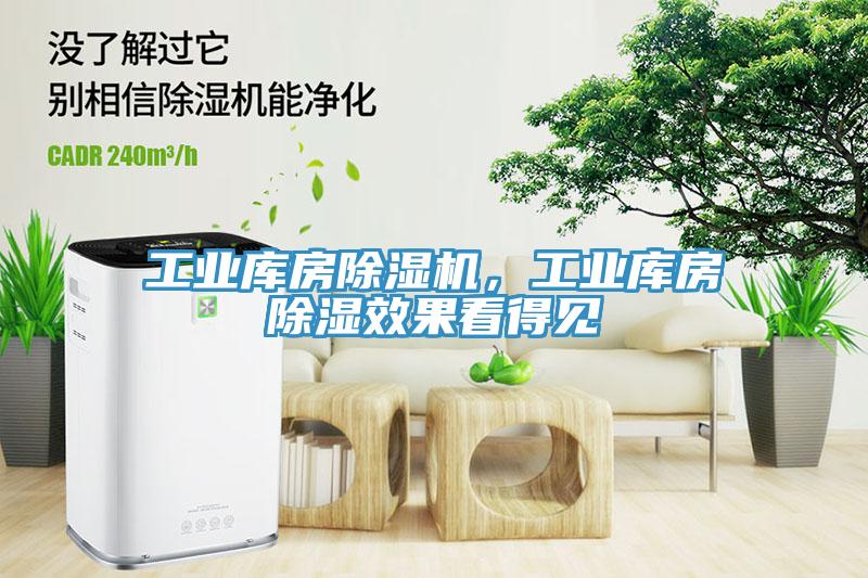 工業(yè)庫房除濕機，工業(yè)庫房除濕效果看得見