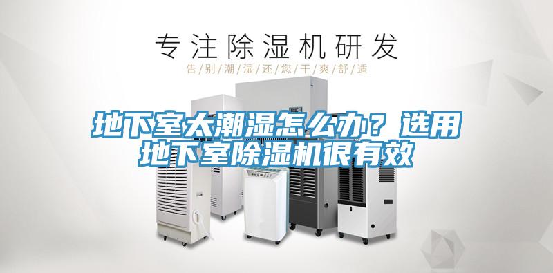地下室太潮濕怎么辦？選用地下室除濕機(jī)很有效