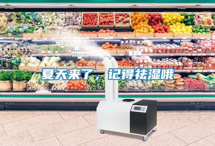 夏天來了，記得祛濕哦