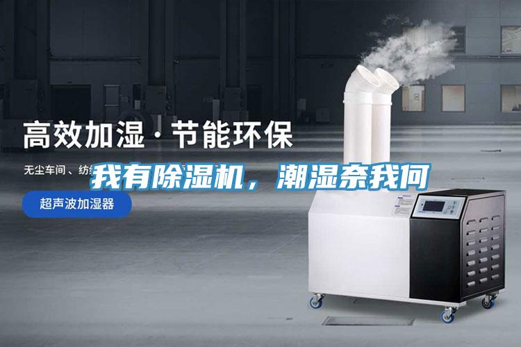 我有除濕機(jī)，潮濕奈我何