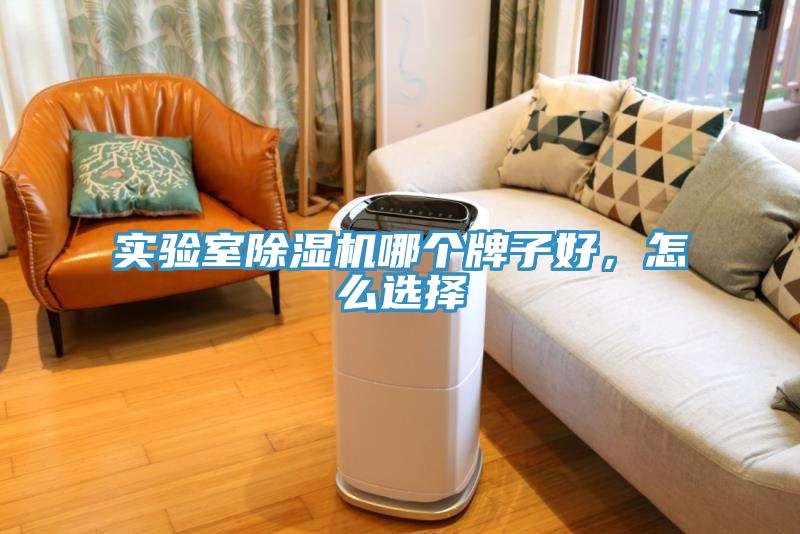 實(shí)驗(yàn)室除濕機(jī)哪個(gè)牌子好，怎么選擇