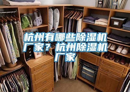 杭州有哪些除濕機廠家？杭州除濕機廠家