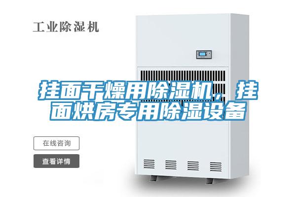 掛面干燥用除濕機，掛面烘房專用除濕設(shè)備