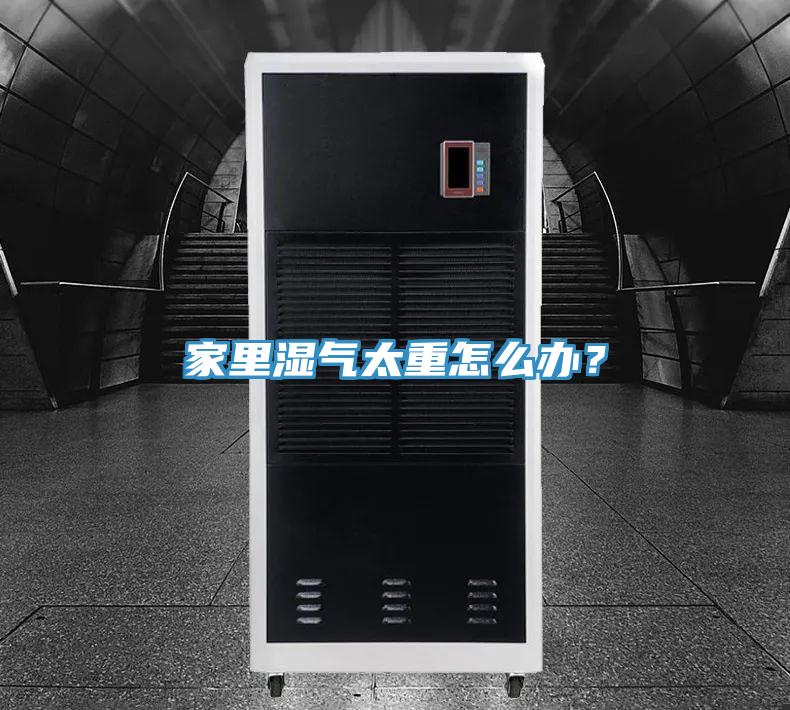 家里濕氣太重怎么辦？