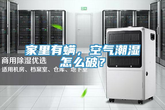 家里有螨，空氣潮濕怎么破？