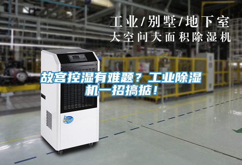 故宮控濕有難題？工業(yè)除濕機(jī)一招搞掂！