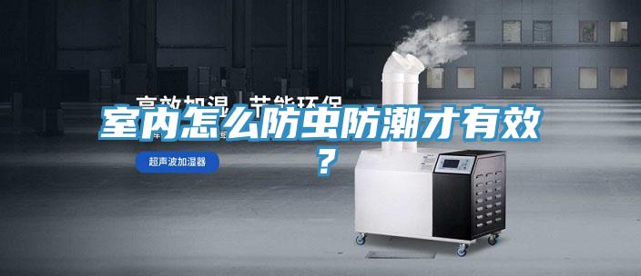 室內(nèi)怎么防蟲防潮才有效？