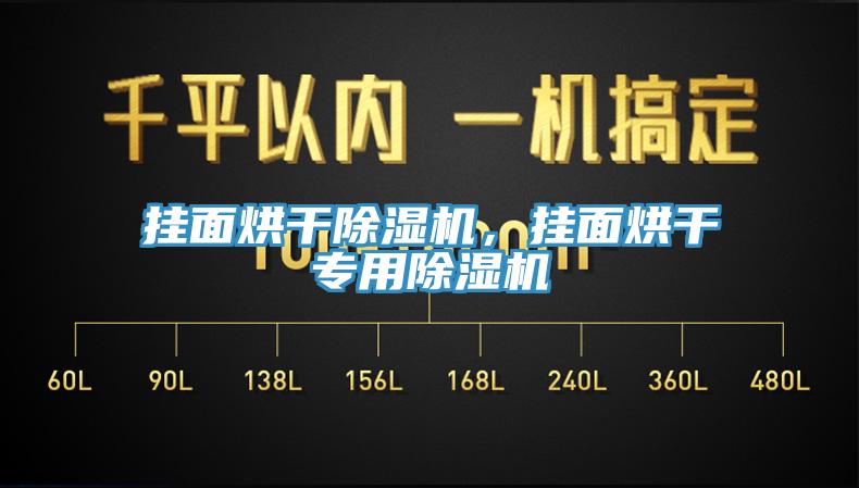 掛面烘干除濕機，掛面烘干專用除濕機