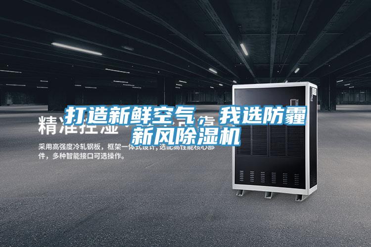 打造新鮮空氣，我選防霾新風(fēng)除濕機