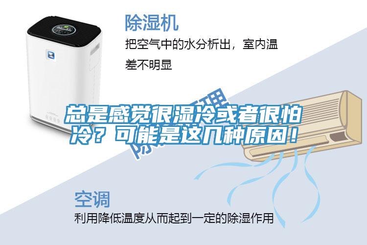 總是感覺很濕冷或者很怕冷？可能是這幾種原因！