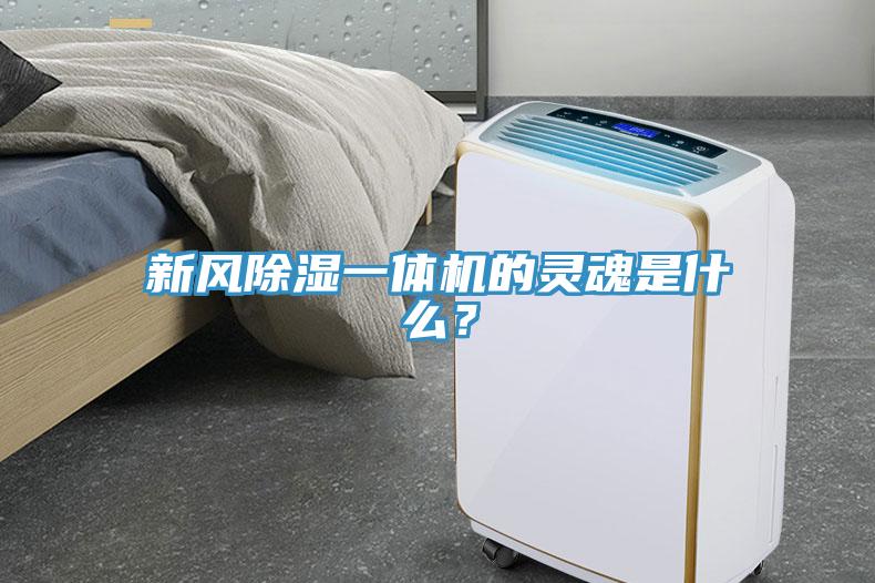 新風(fēng)除濕一體機的靈魂是什么？