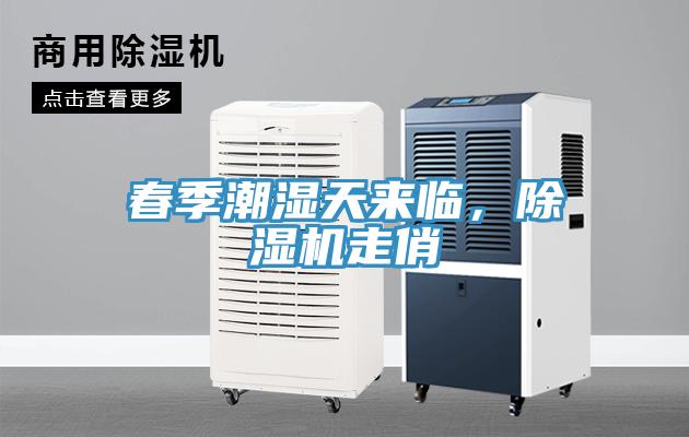 春季潮濕天來臨，除濕機(jī)走俏