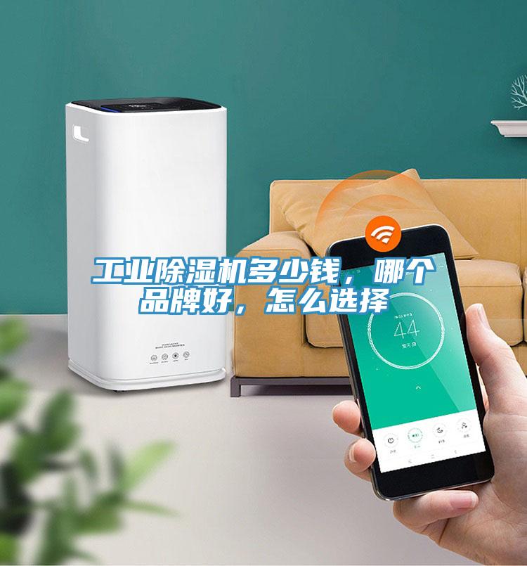 工業(yè)除濕機多少錢，哪個品牌好，怎么選擇