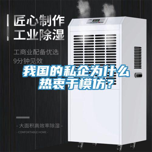 我國的私企為什么熱衷于模仿？