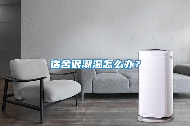 宿舍很潮濕怎么辦？