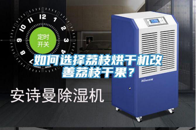 如何選擇荔枝烘干機改善荔枝干果？