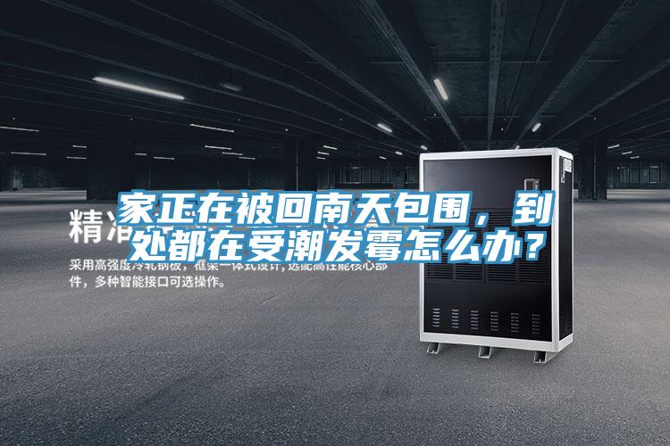 家正在被回南天包圍，到處都在受潮發(fā)霉怎么辦？