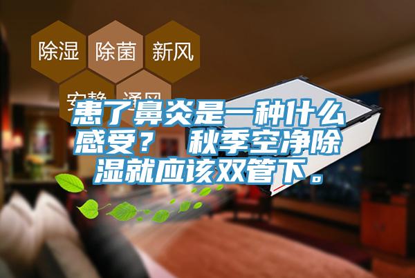 患了鼻炎是一種什么感受？ 秋季空凈除濕就應(yīng)該雙管下。